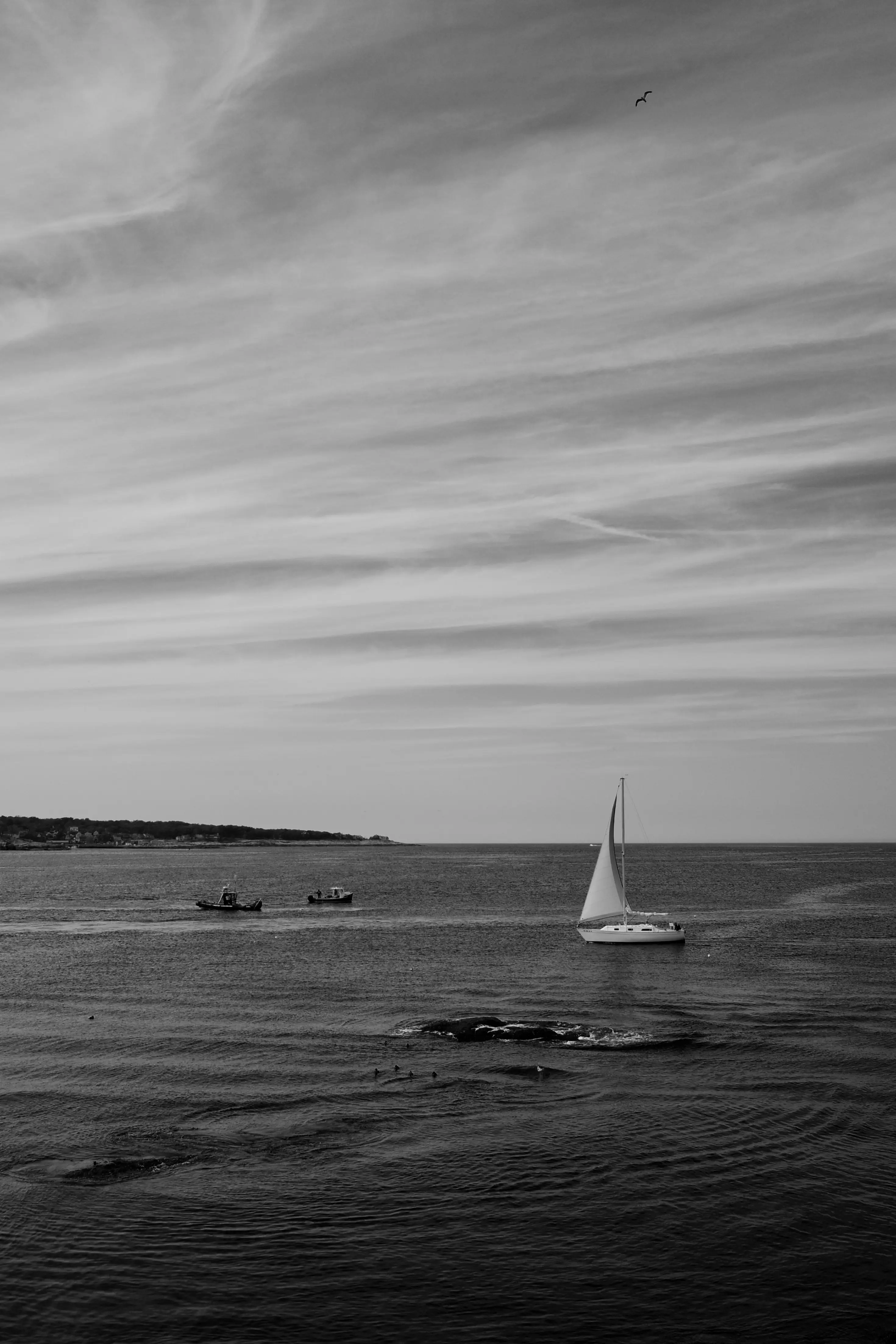 Photo from massachusetts